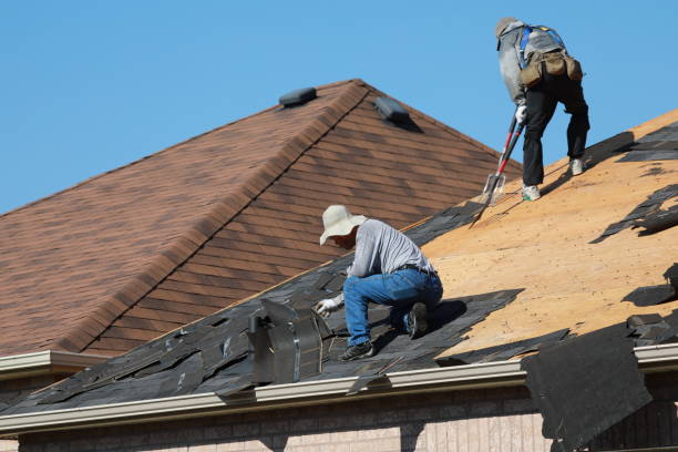 Best Metal Roofing Installation  in Sa De Oro Mount Helix, CA